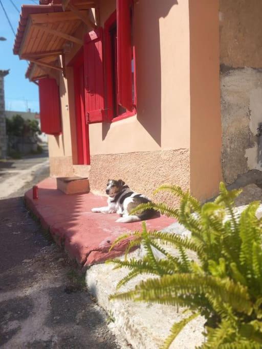Semeli'S House Villa Longa Exterior photo